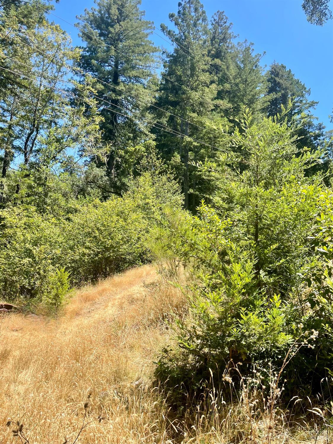 9 Meadow View Lane San Geronimo CA 94963