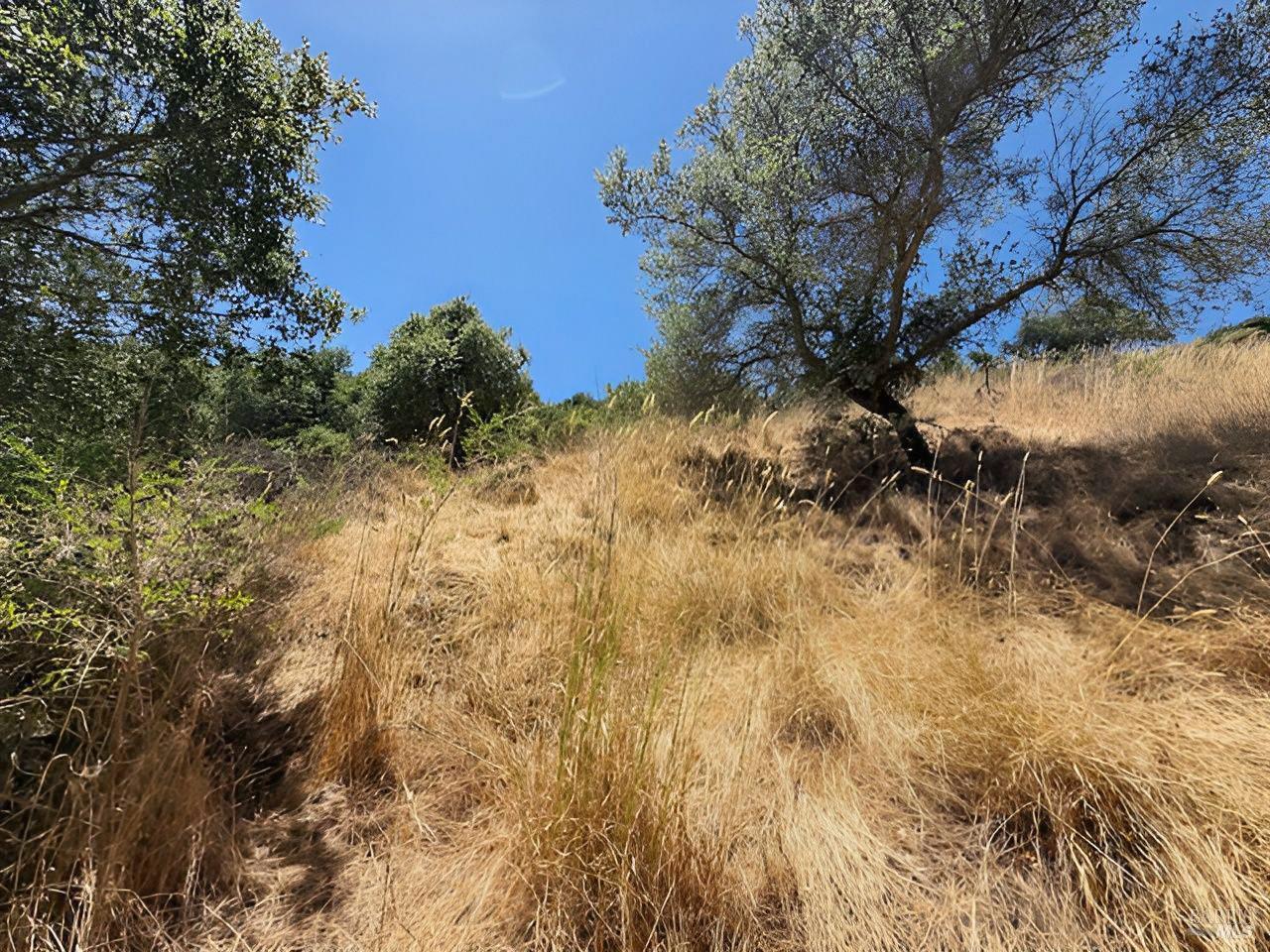 0 Coleman Drive San Rafael CA 94901