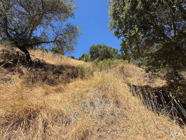 0 Coleman Drive San Rafael CA 94901