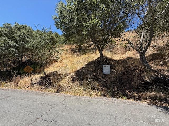 0 Coleman Drive San Rafael CA 94901