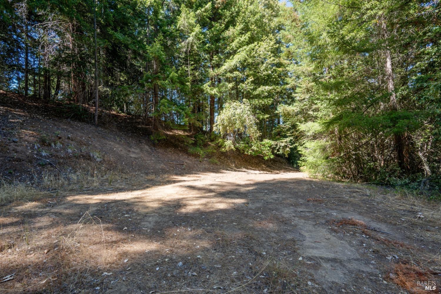 0 Low Gap Road Ukiah CA 95482