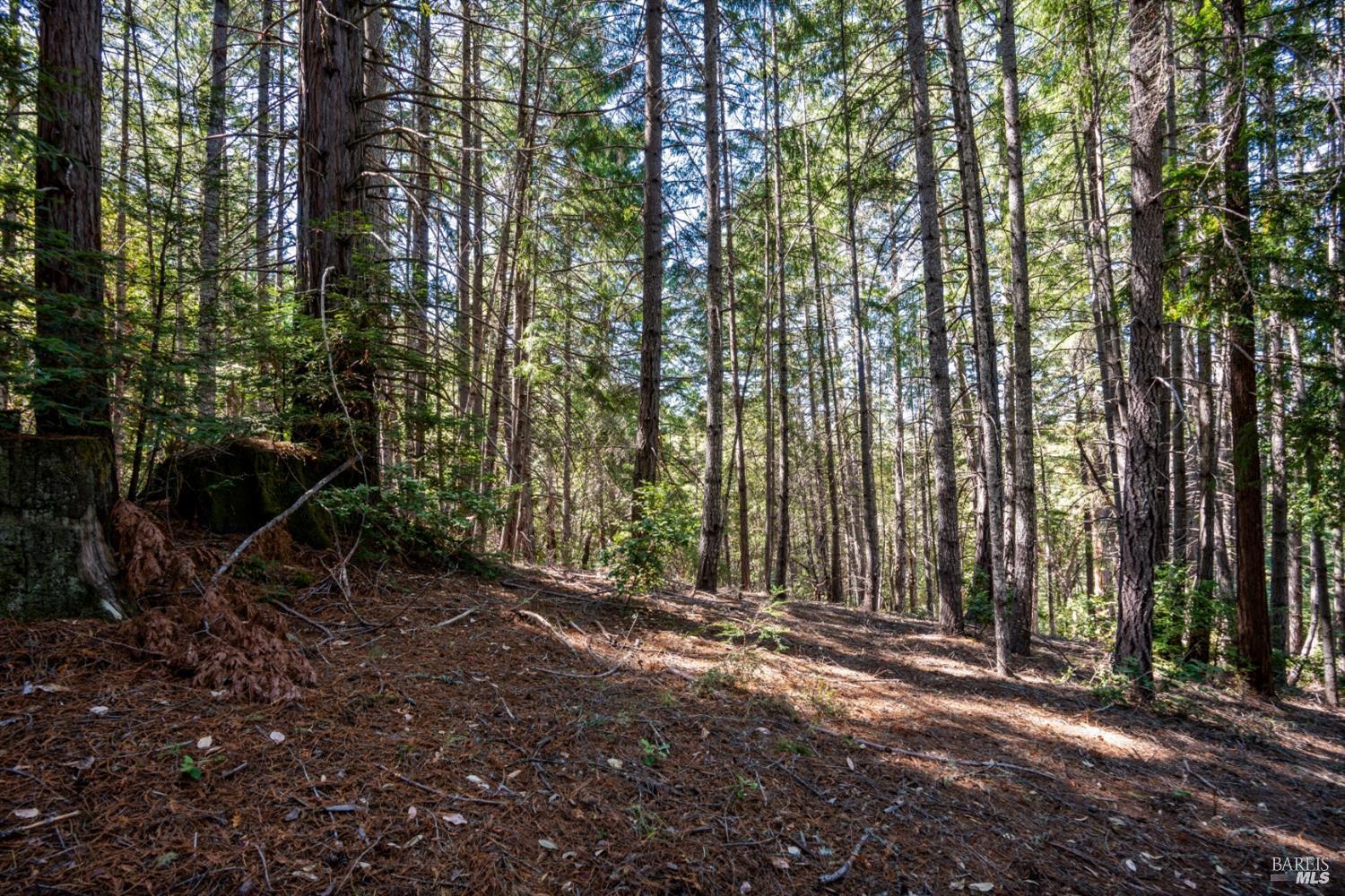 0 Low Gap Road Ukiah CA 95482