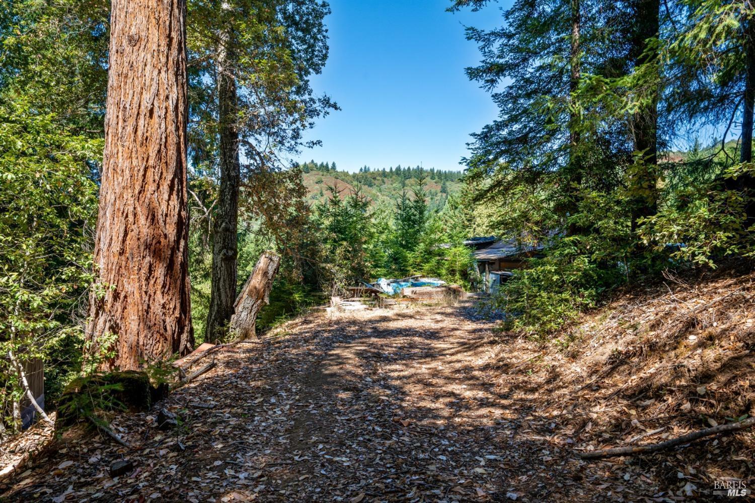 0 Low Gap Road Ukiah CA 95482