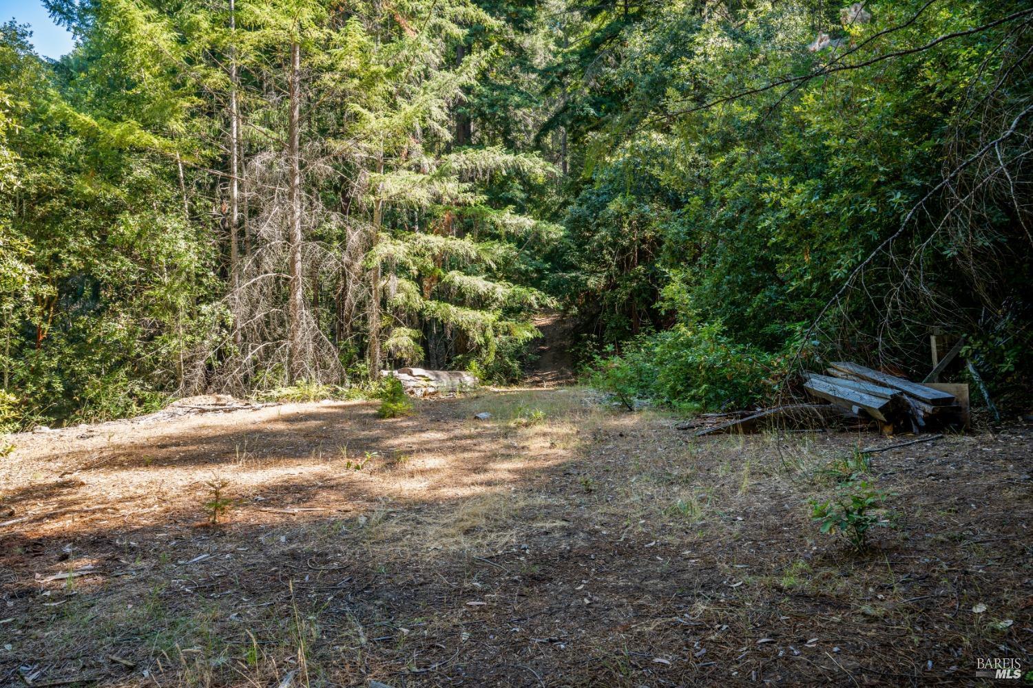 0 Low Gap Road Ukiah CA 95482