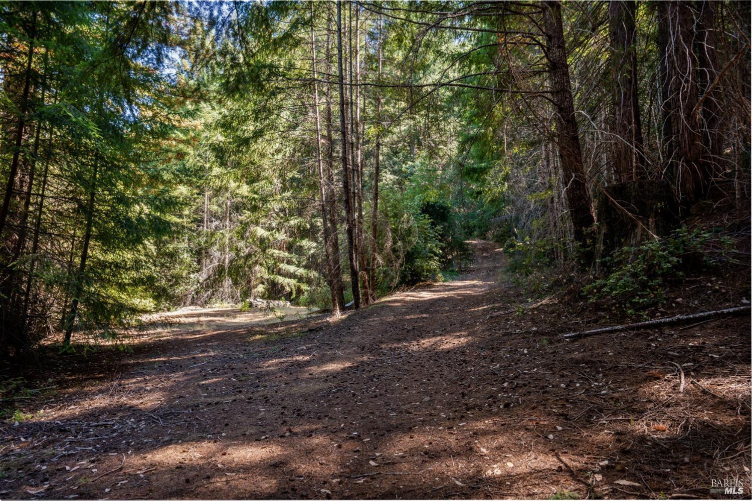 0 Low Gap Road Ukiah CA 95482
