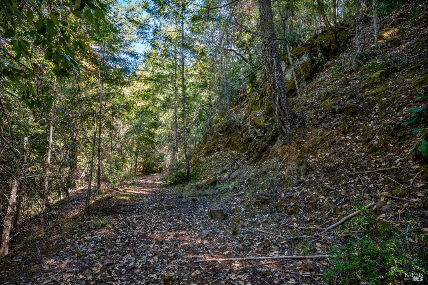 0 Low Gap Road Ukiah CA 95482