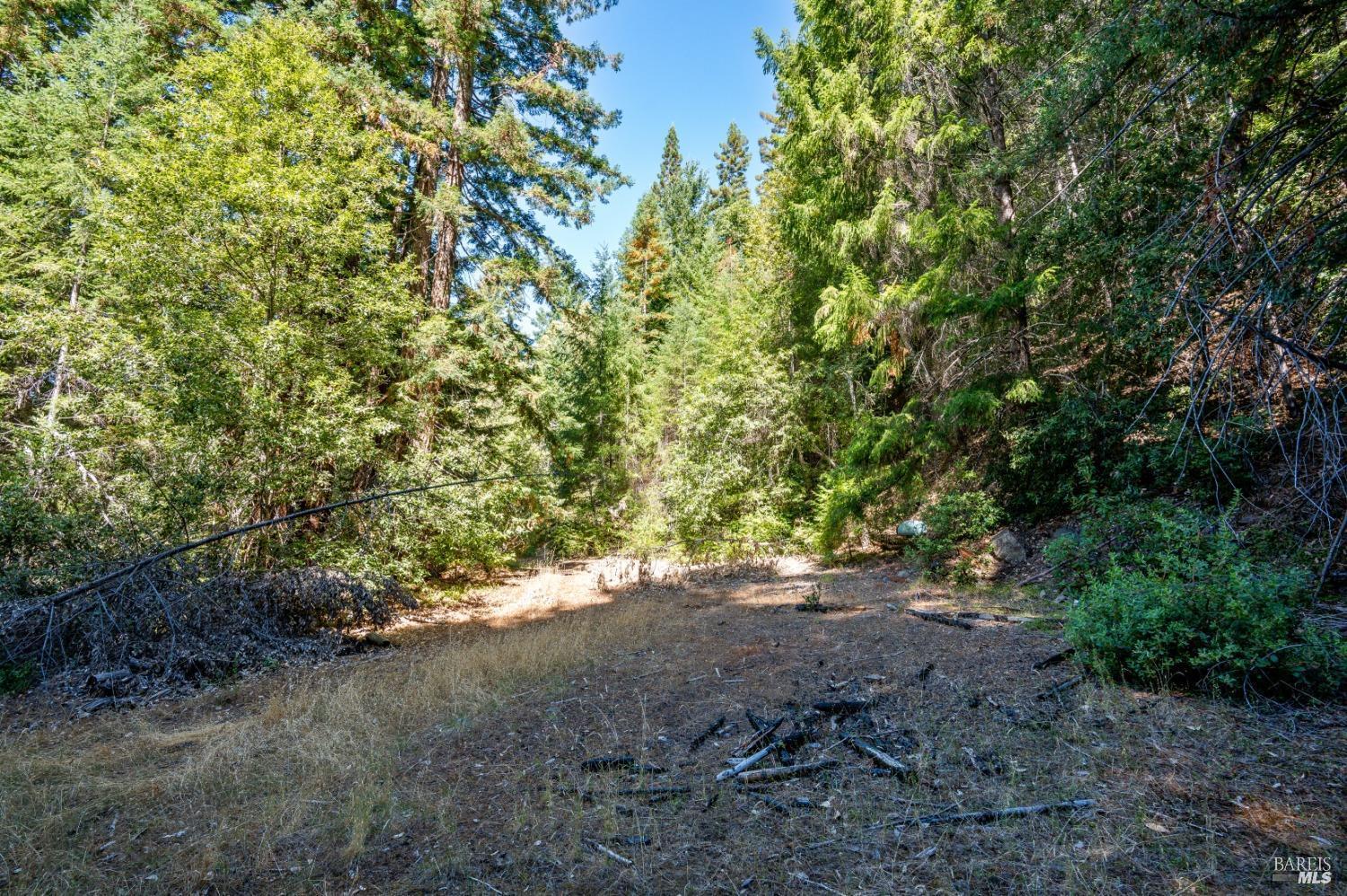 0 Low Gap Road Ukiah CA 95482