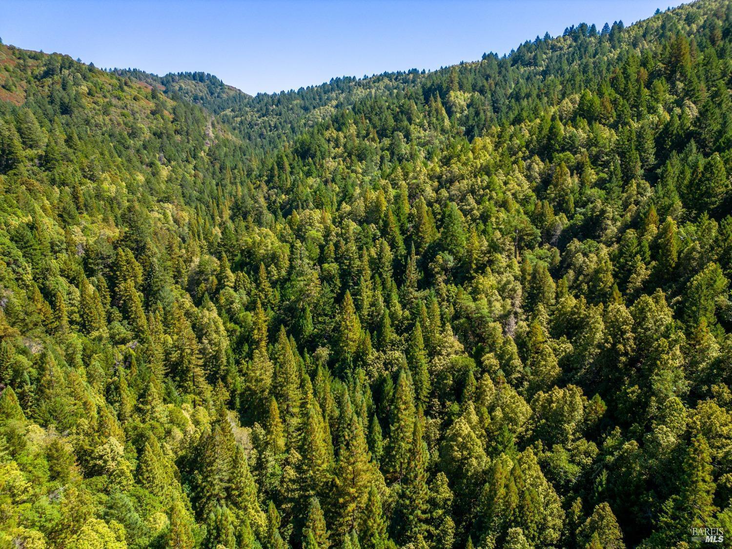 0 Low Gap Road Ukiah CA 95482