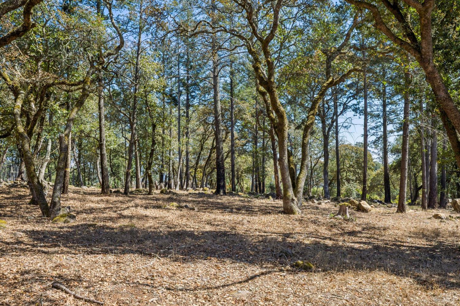 2803 Bardy Road Santa Rosa CA 95404