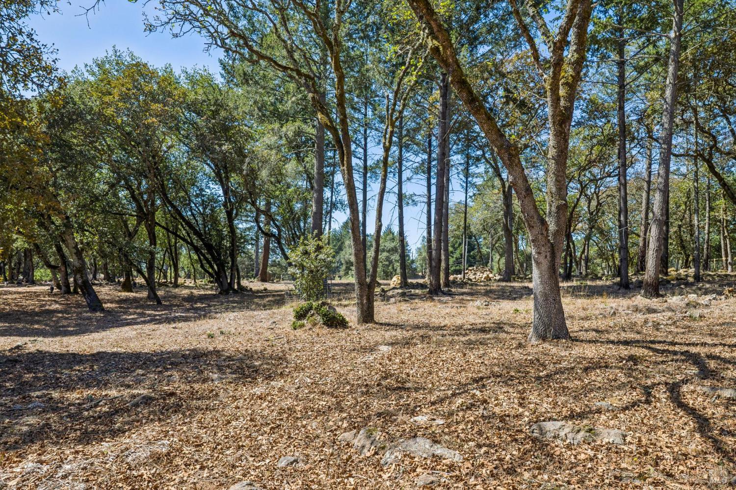 2803 Bardy Road Santa Rosa CA 95404