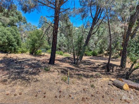 14142 Burns Valley Road Clearlake CA 95422