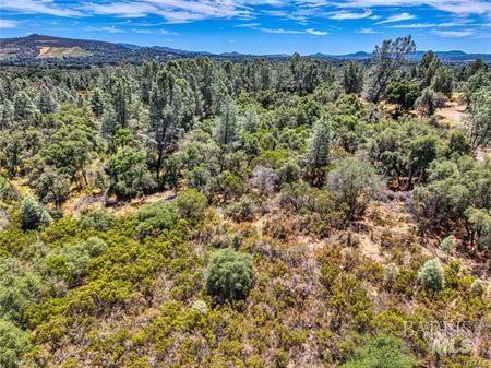 14142 Burns Valley Road Clearlake CA 95422