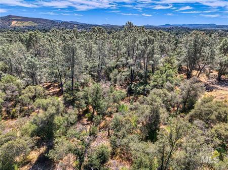 14142 Burns Valley Road Clearlake CA 95422