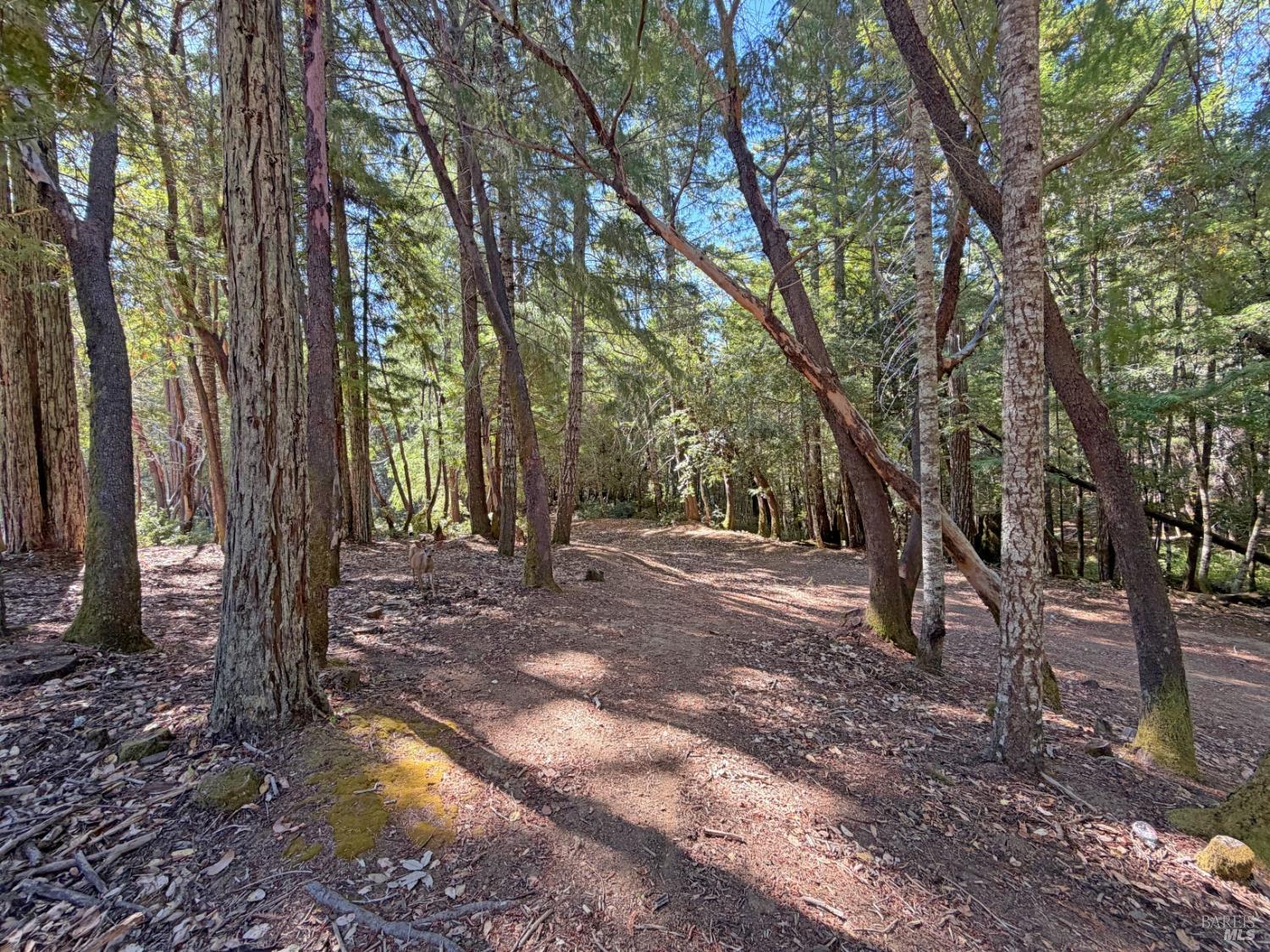 25023 Robin Circle Willits CA 95490