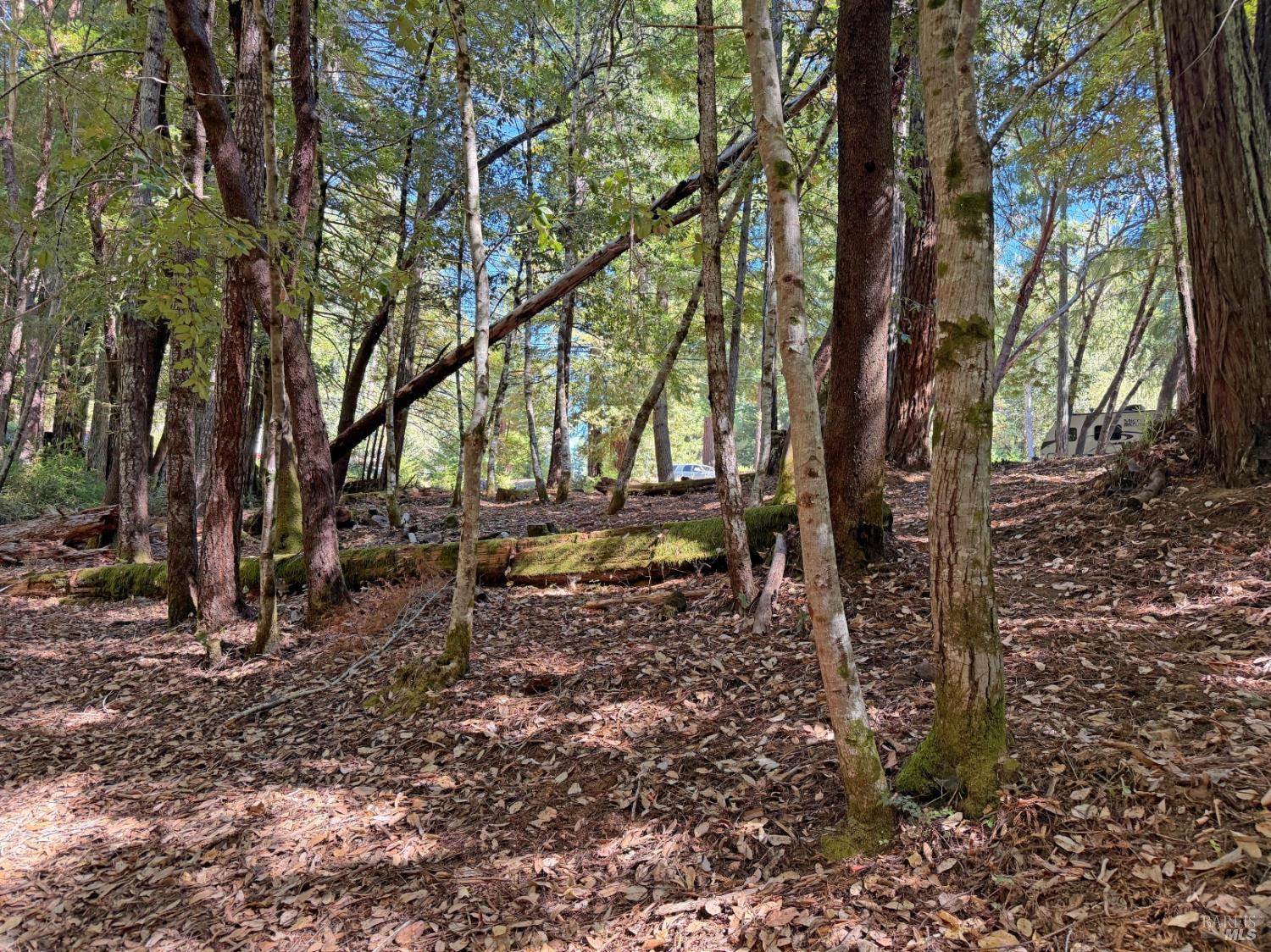 25023 Robin Circle Willits CA 95490