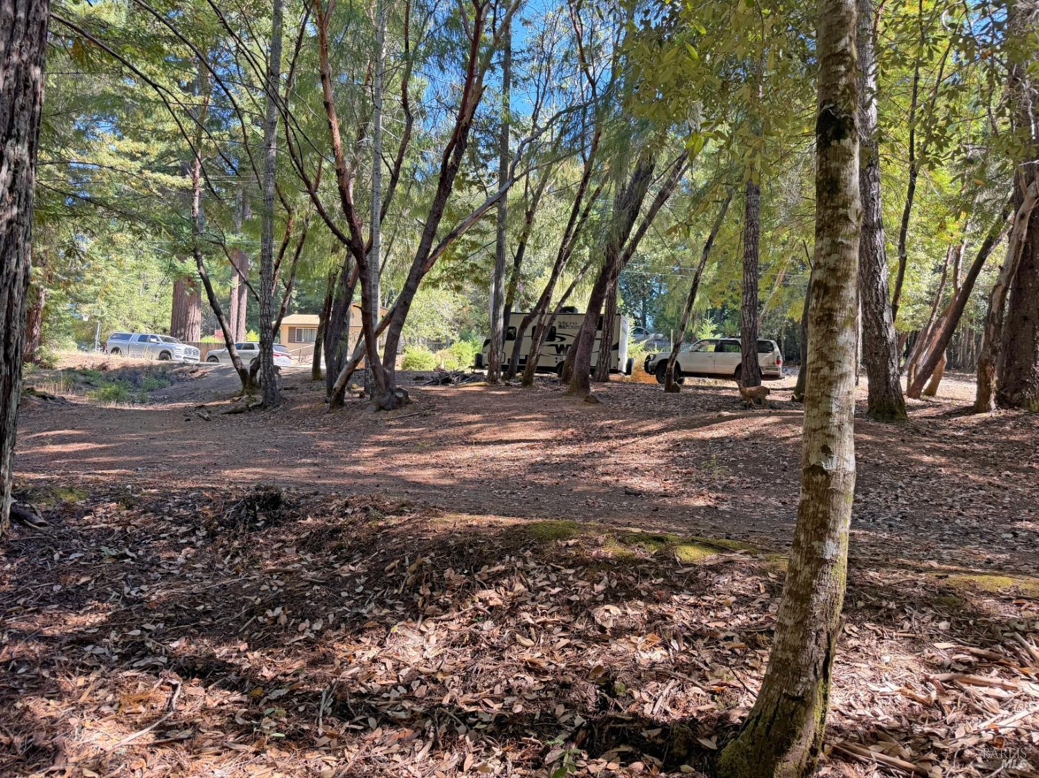 25023 Robin Circle Willits CA 95490
