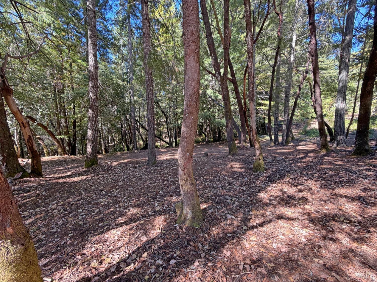 25023 Robin Circle Willits CA 95490