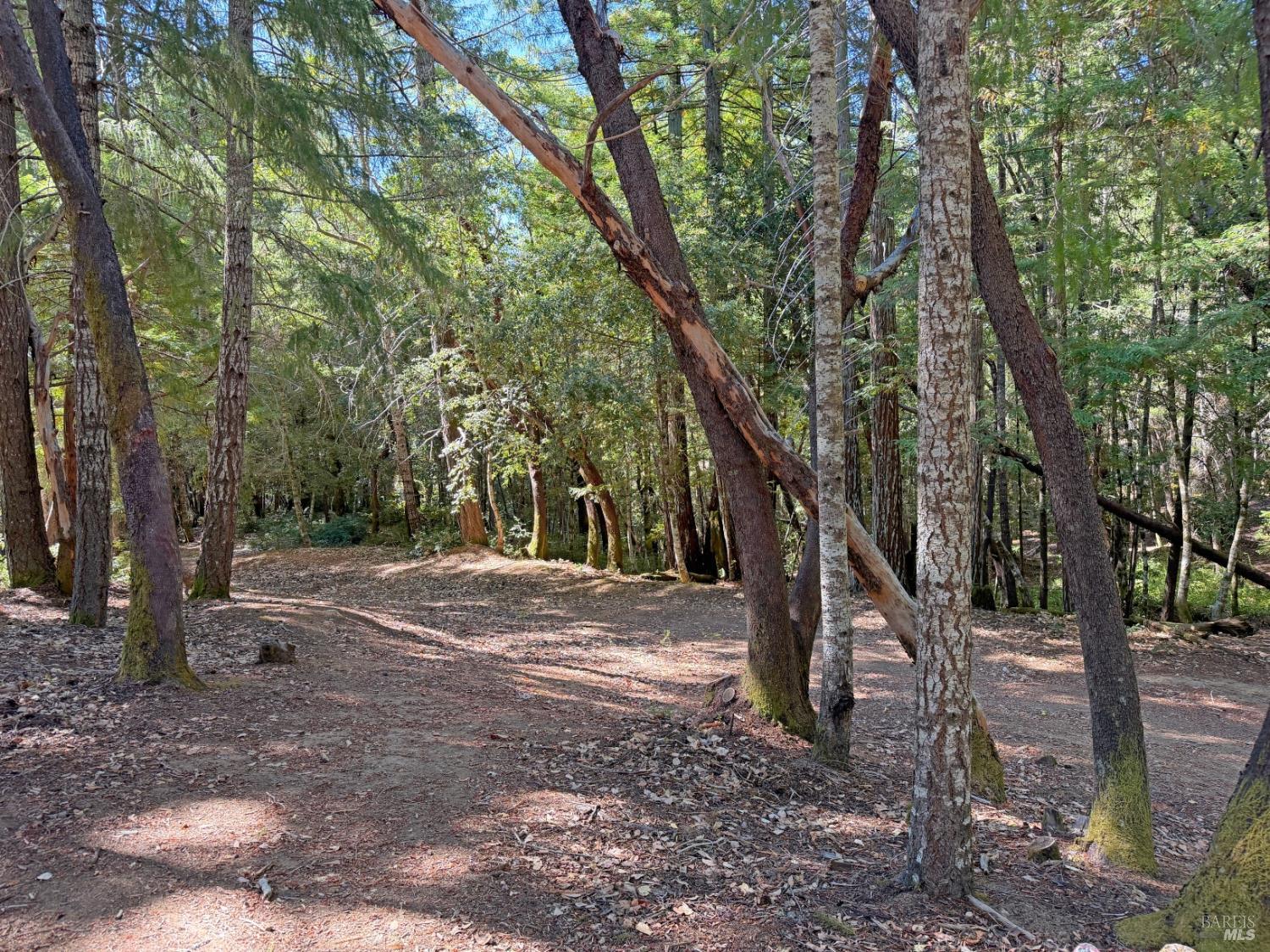 25023 Robin Circle Willits CA 95490