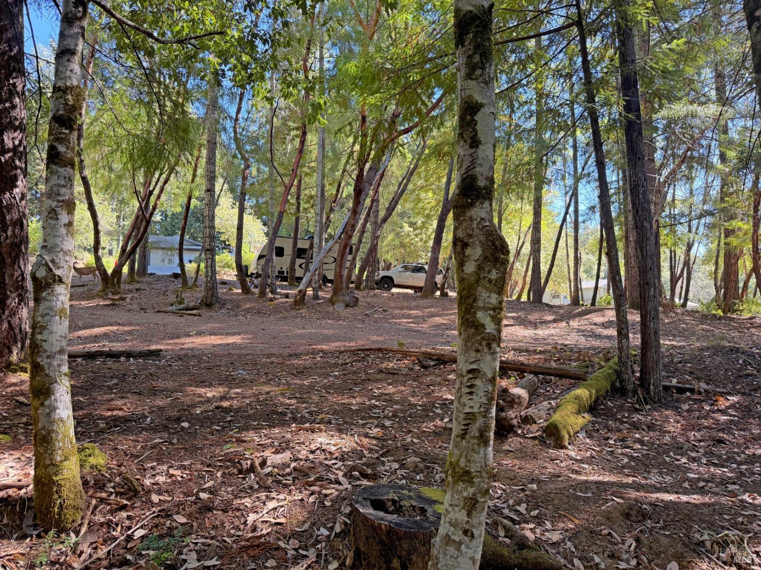 25023 Robin Circle Willits CA 95490