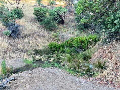 9007-9027 Stewarts Point Skaggs Springs Road Healdsburg CA 95448