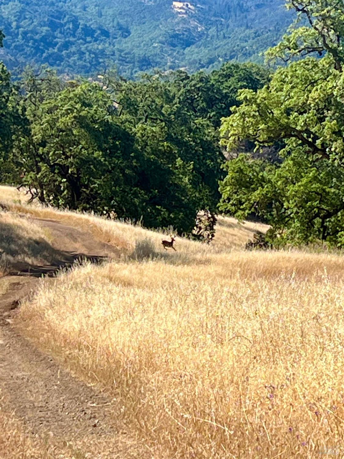 9007-9027 Stewarts Point Skaggs Springs Road Healdsburg CA 95448