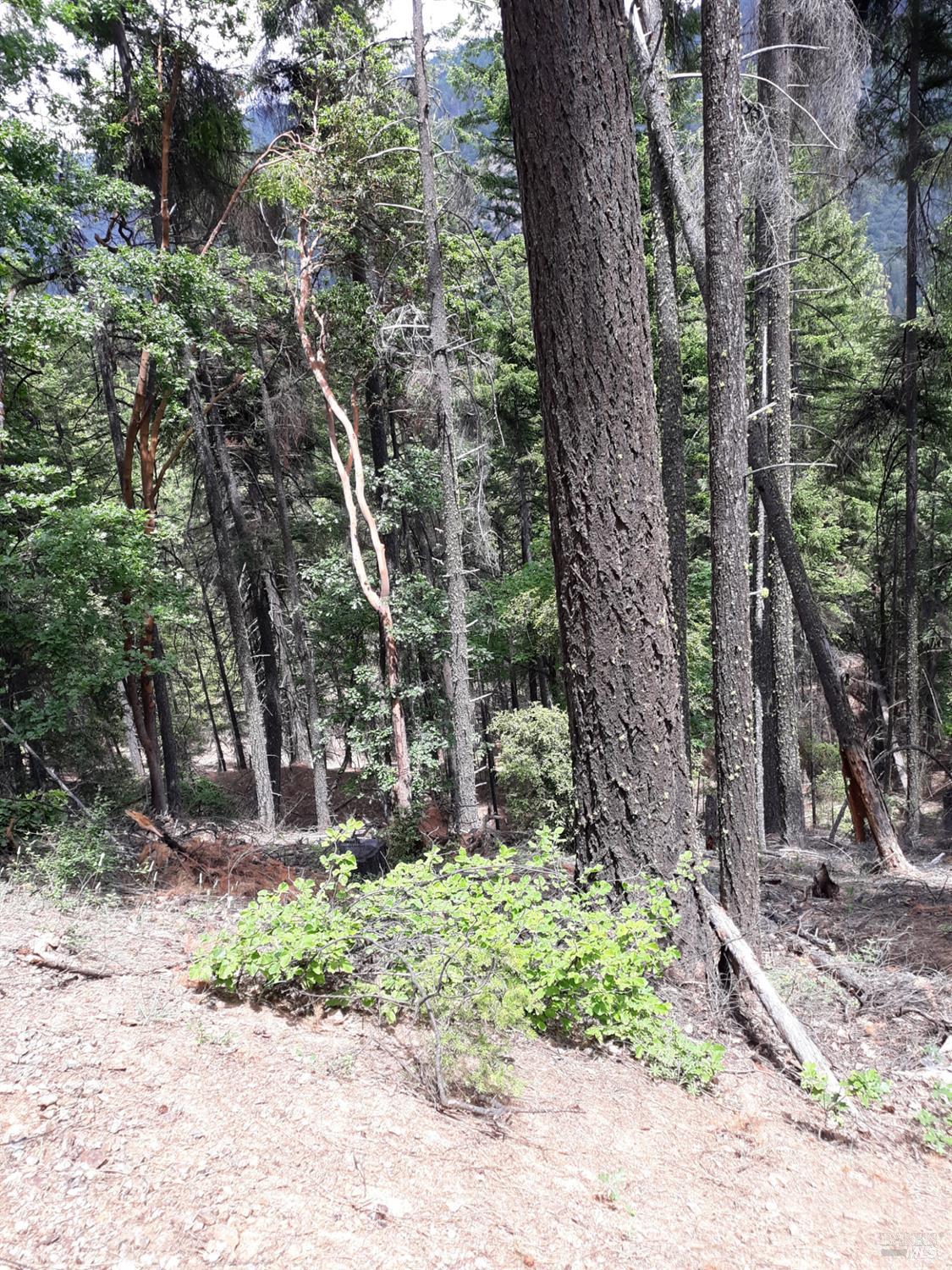 0 Cecilville Road Forks Of Salmon CA 96031