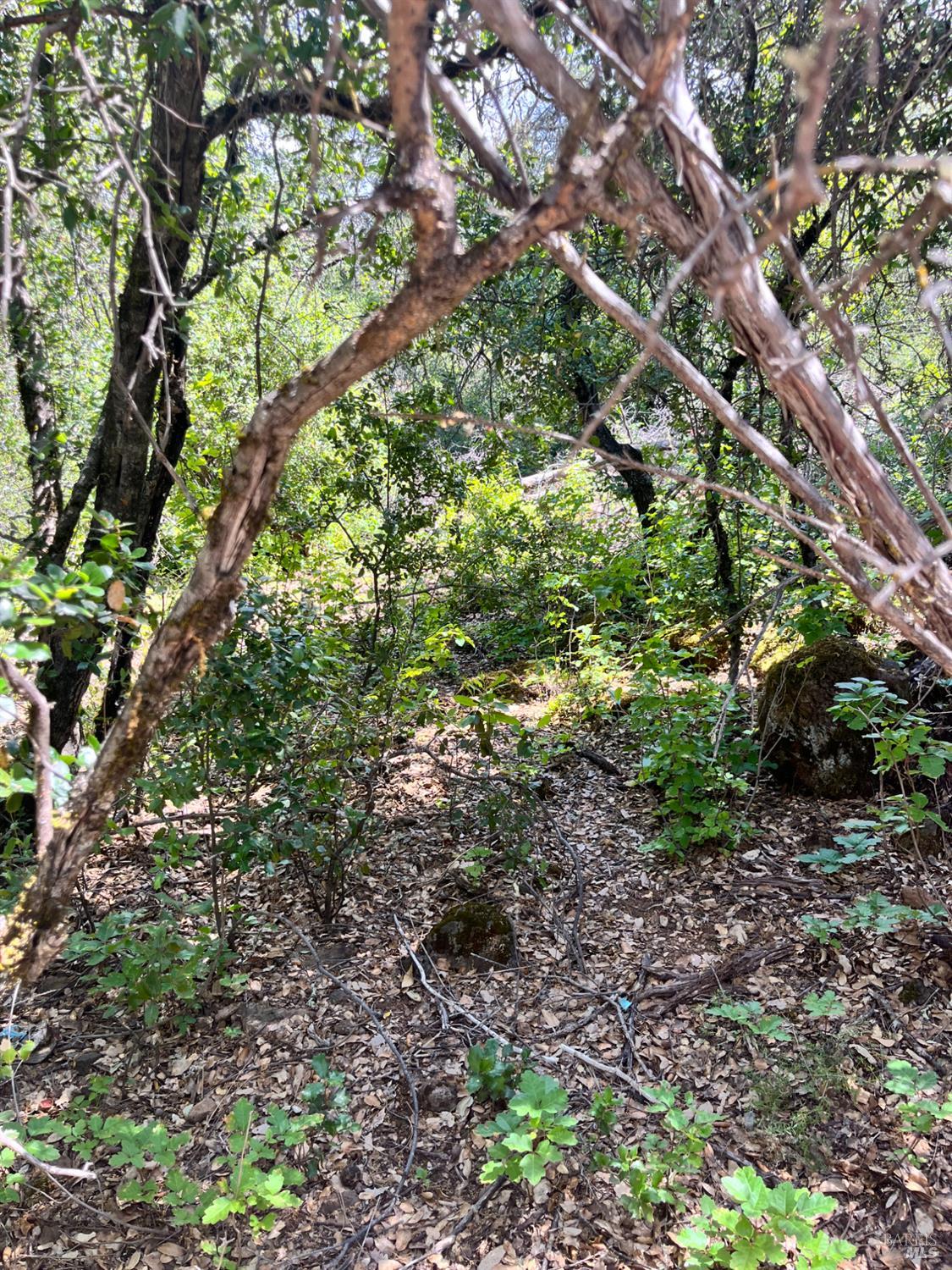 16486 8th Avenue Clearlake CA 95422