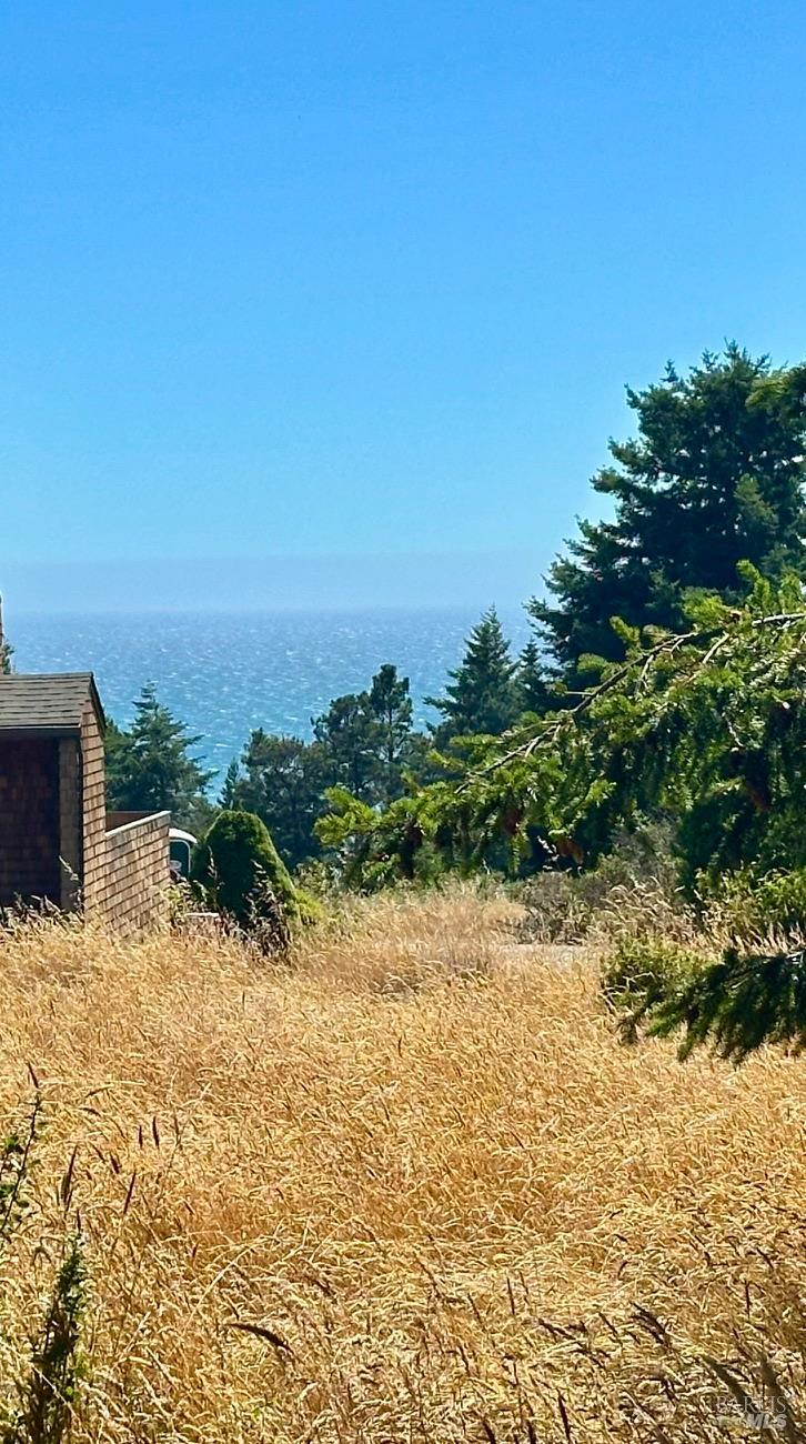 35858 Sea Ridge Road The Sea Ranch CA 95497
