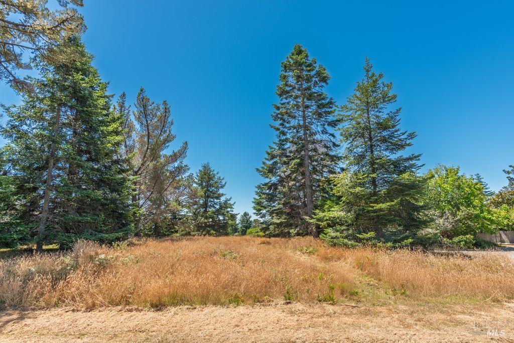 35858 Sea Ridge Road The Sea Ranch CA 95497