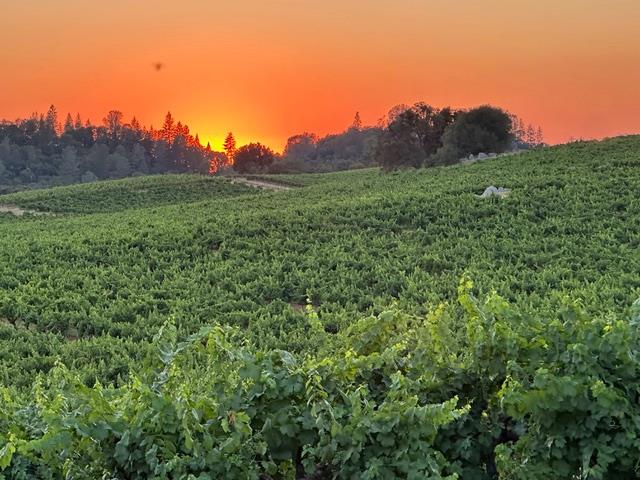 12551 Steiner Road Plymouth CA 95669