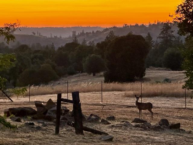 12551 Steiner Road Plymouth CA 95669