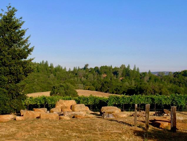 12551 Steiner Road Plymouth CA 95669