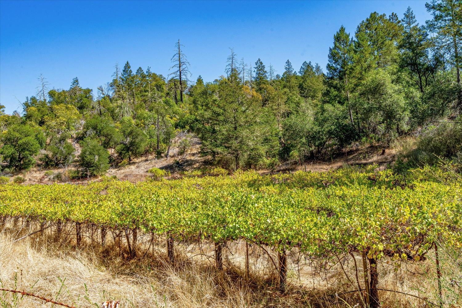 18730 State Highway 128 Highway Calistoga CA 94515