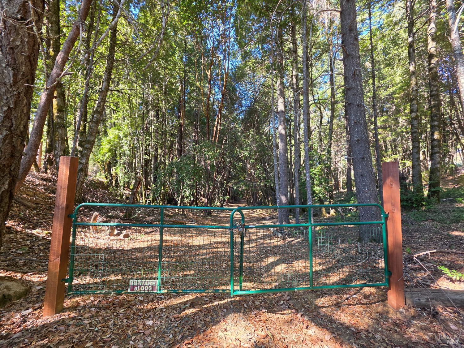 16100 Mariposa Creek Road Willits CA 95490