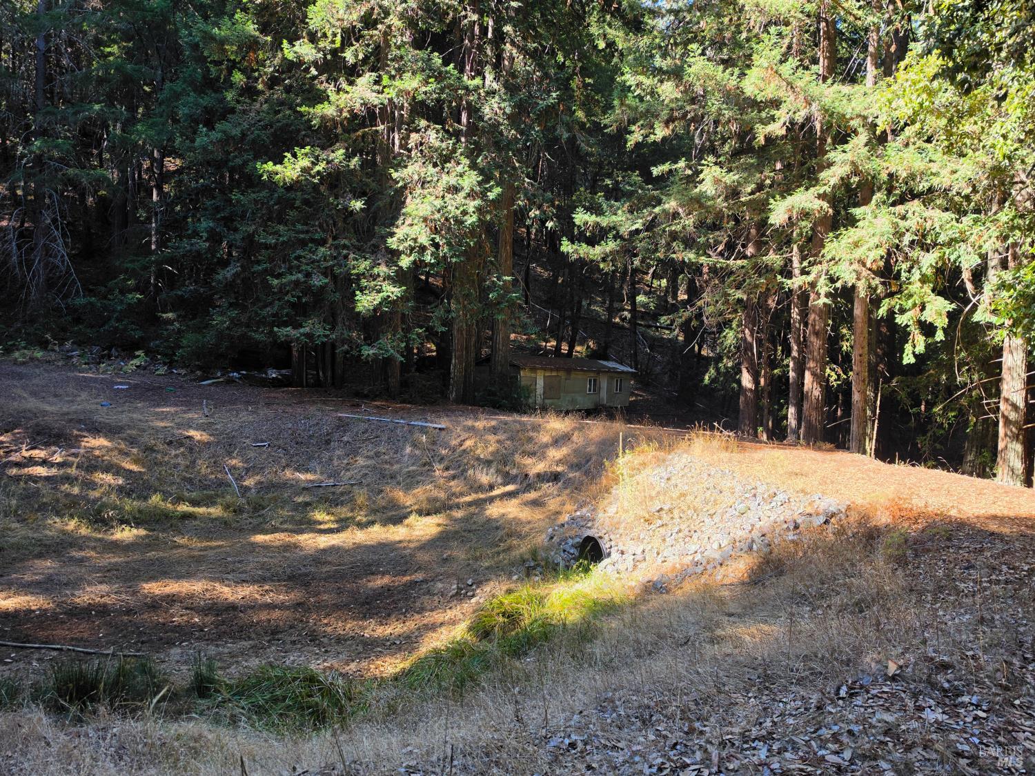 16100 Mariposa Creek Road Willits CA 95490