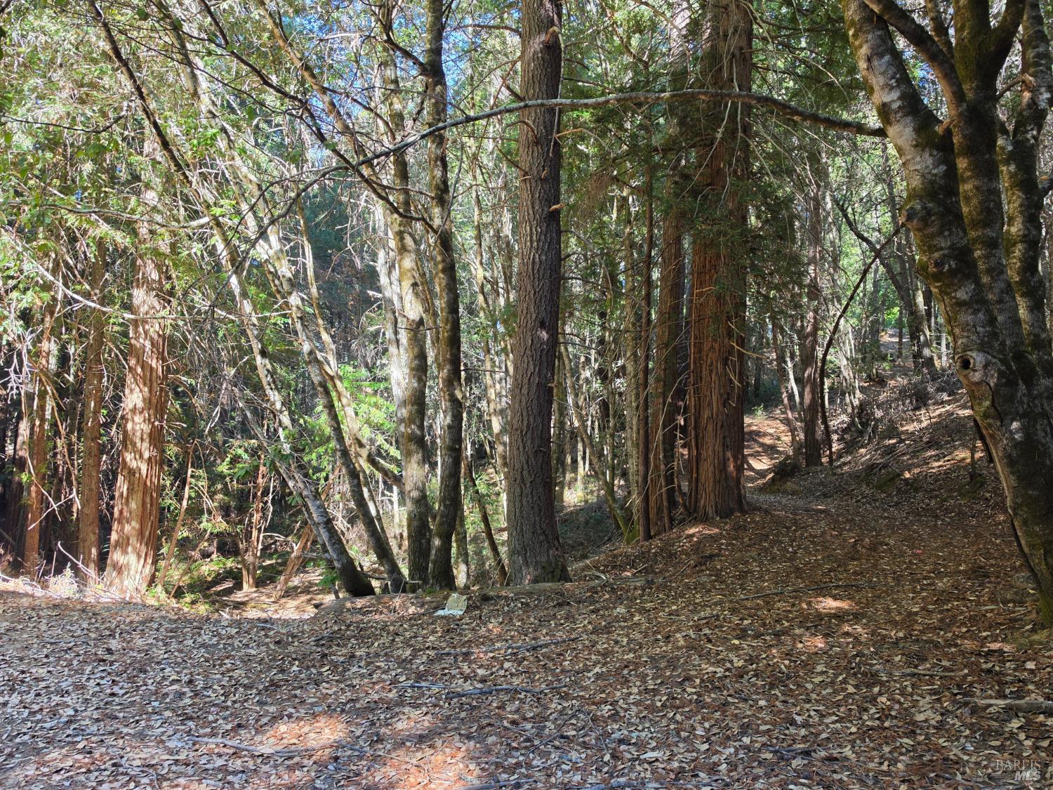 16100 Mariposa Creek Road Willits CA 95490
