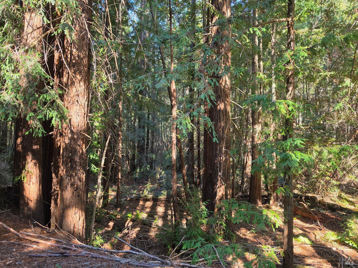 16100 Mariposa Creek Road Willits CA 95490