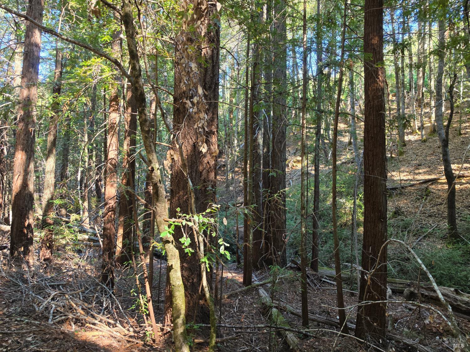 16100 Mariposa Creek Road Willits CA 95490