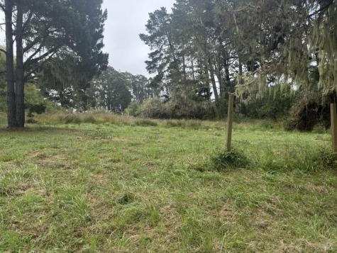 241 Alder Road Bolinas CA 94924
