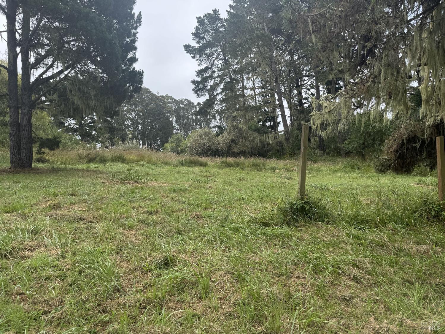 241 Alder Road Bolinas CA 94924