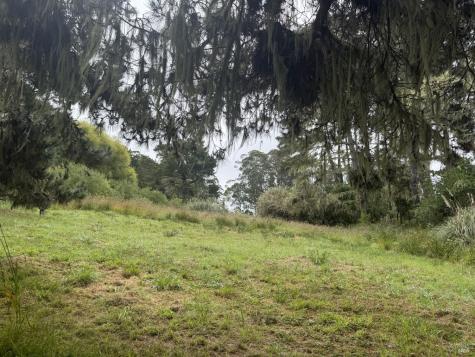 241 Alder Road Bolinas CA 94924