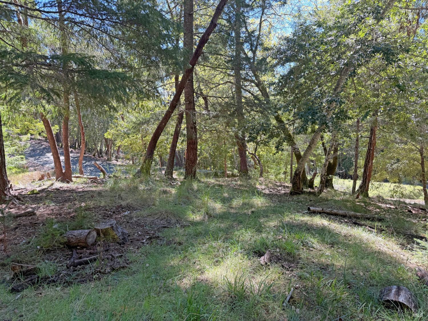 25940 Poppy Place Willits CA 95490