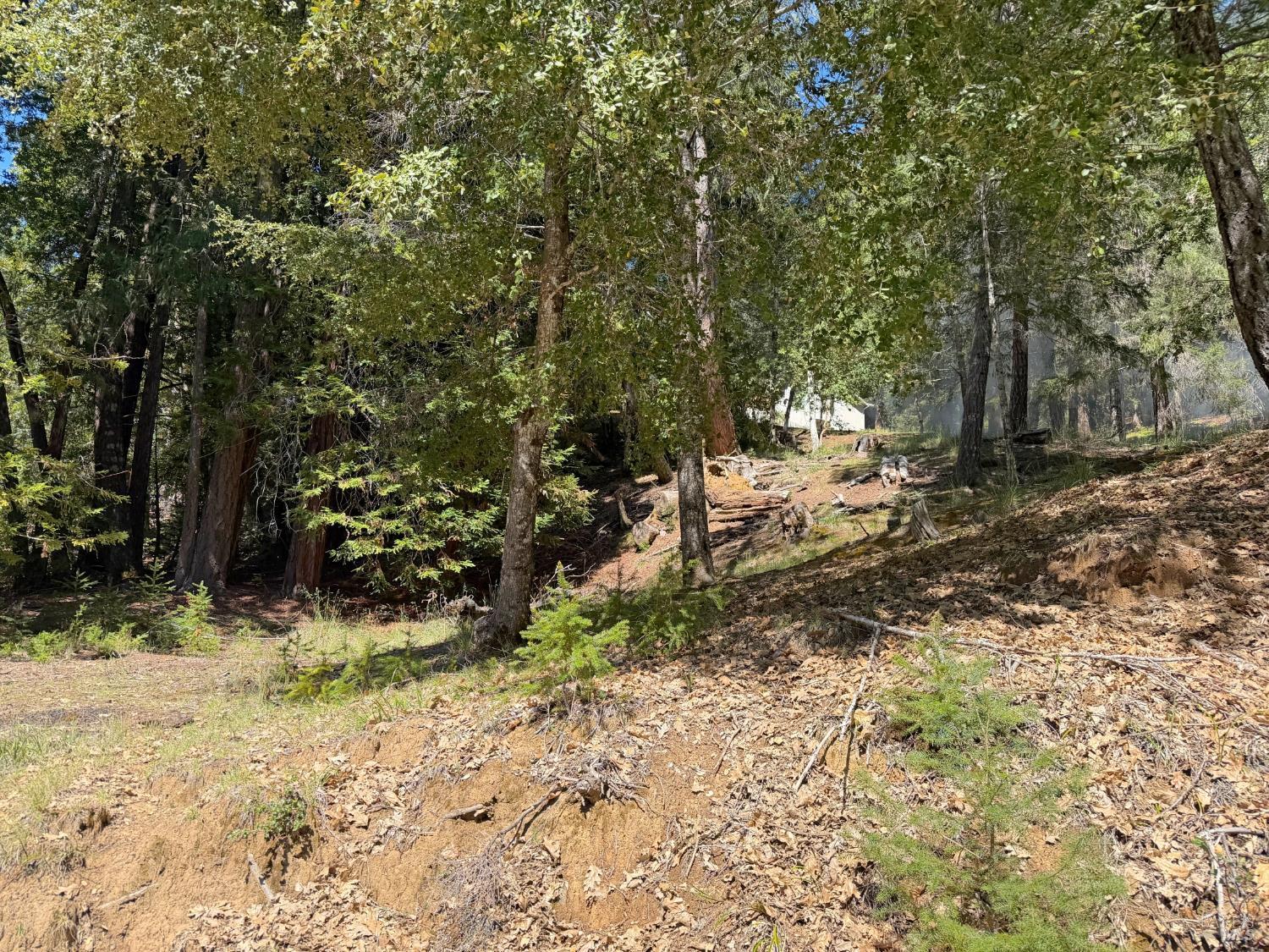 25940 Poppy Place Willits CA 95490