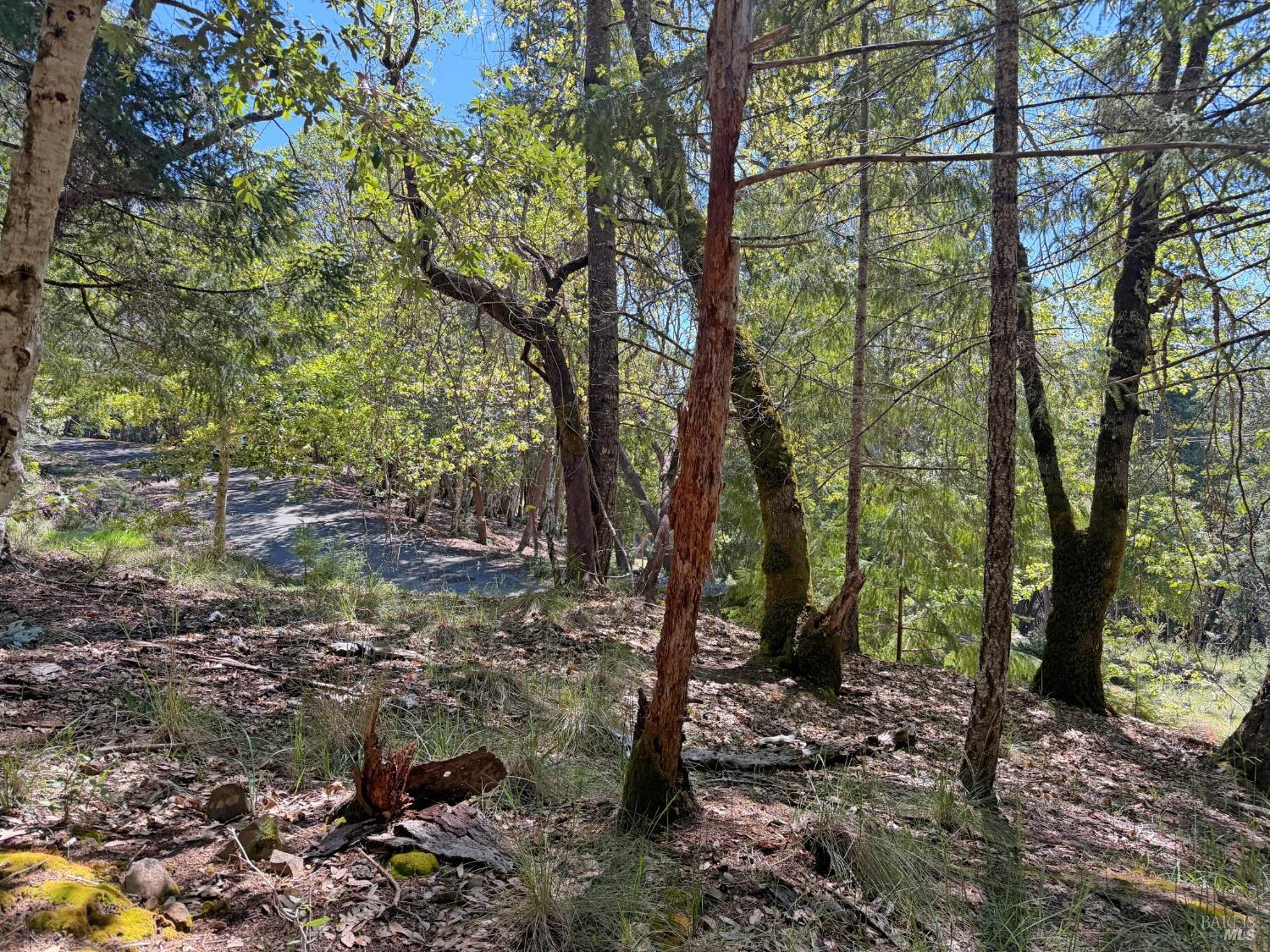25940 Poppy Place Willits CA 95490