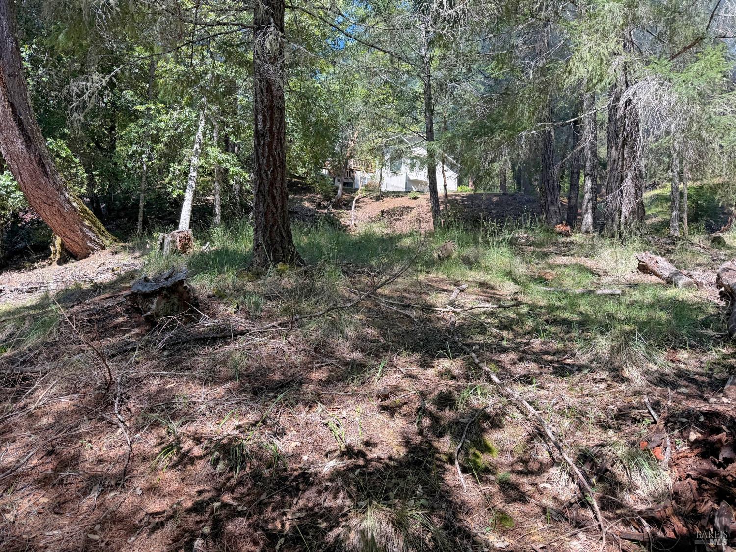 25940 Poppy Place Willits CA 95490