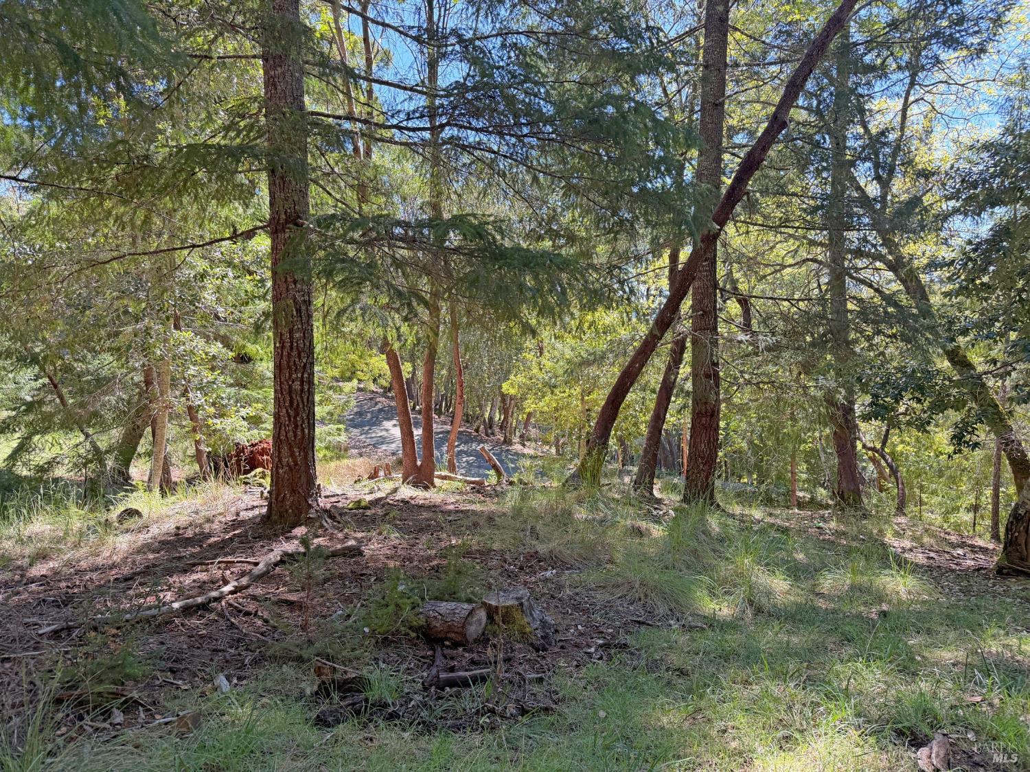 25940 Poppy Place Willits CA 95490