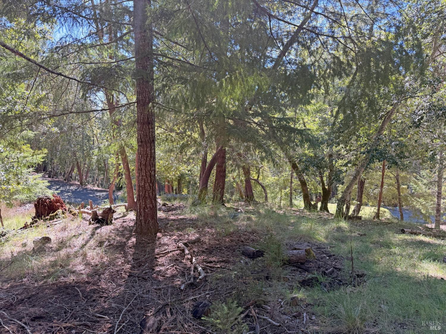 25940 Poppy Place Willits CA 95490