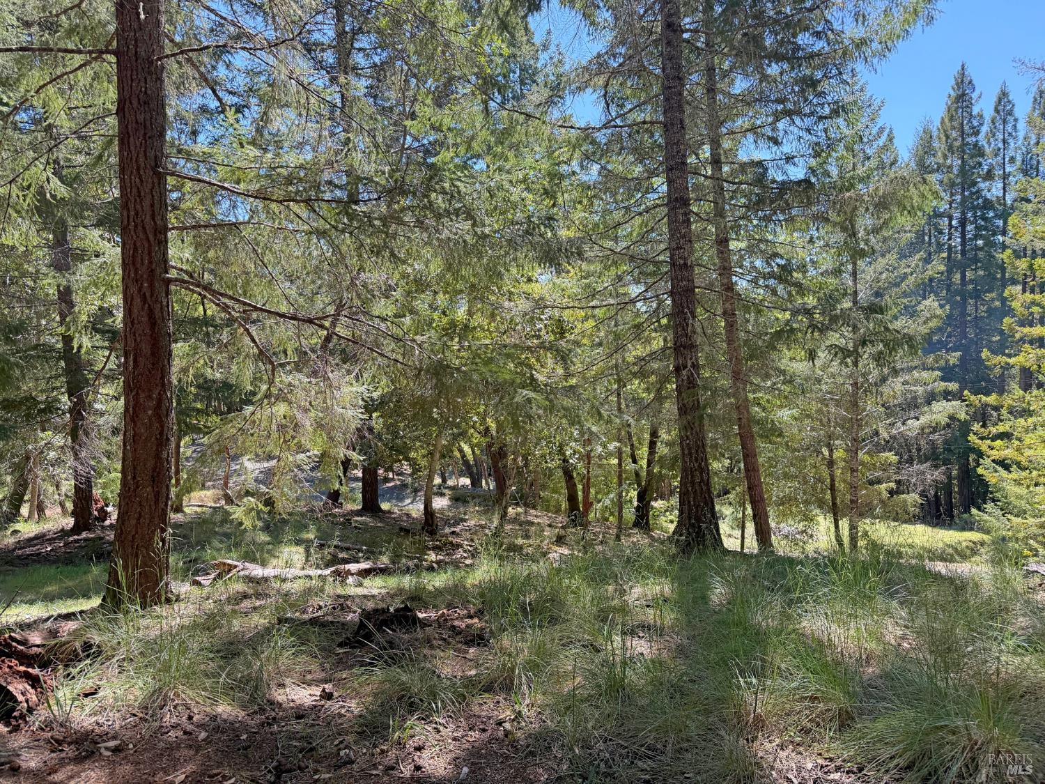 25940 Poppy Place Willits CA 95490