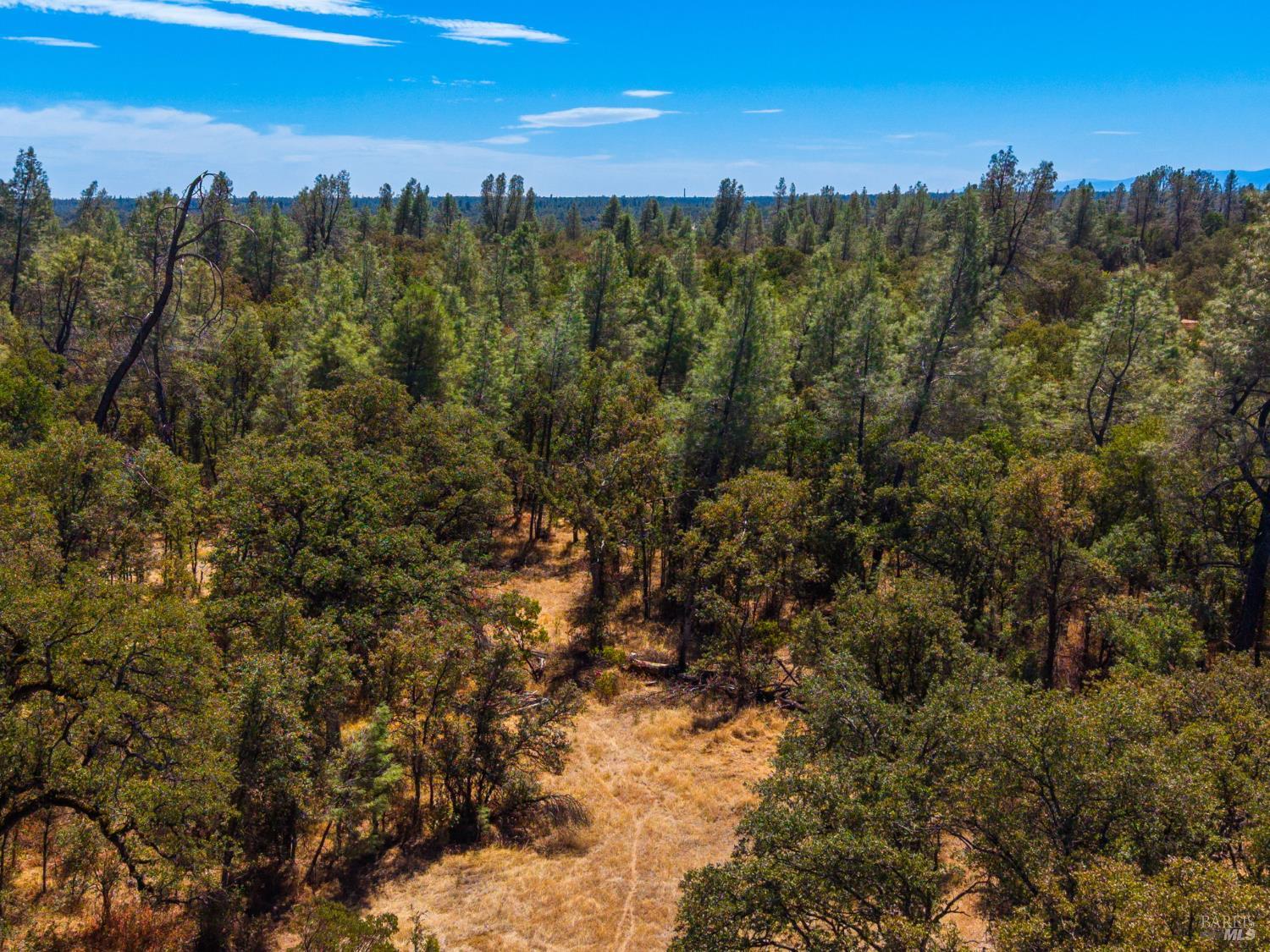 0 Tbd Richard Drive Cottonwood CA 96022