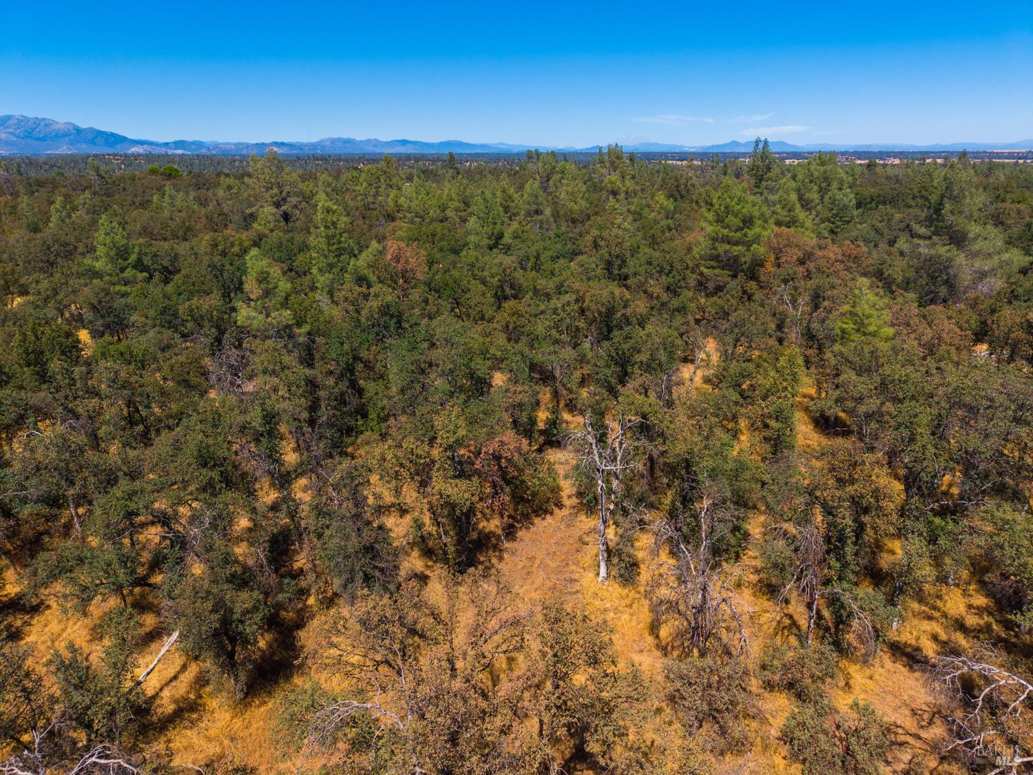 0 Tbd Richard Drive Cottonwood CA 96022